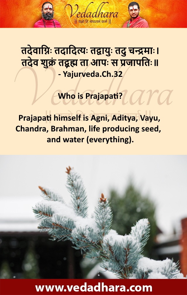 Who is Prajapati? Prajapati himself is Agni, Aditya, Vayu, Chandra, Brahman, life producing seed,  and water - everything.
